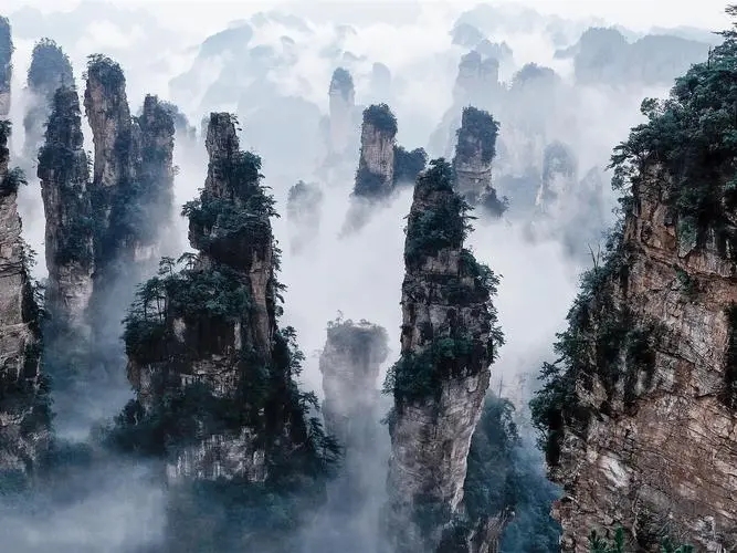 zhangjiajie national park.webp